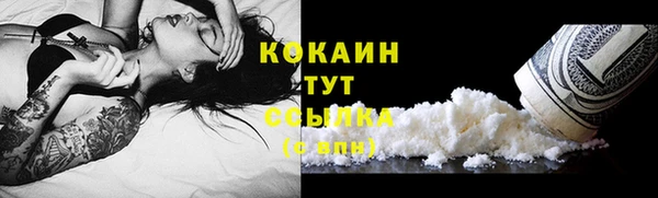 гидра Армянск