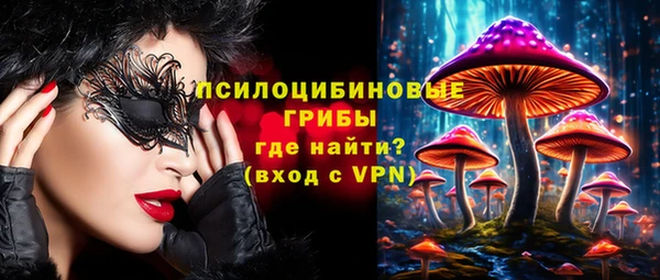гидра Армянск