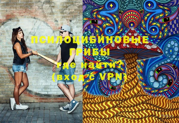 мдпв Арсеньев
